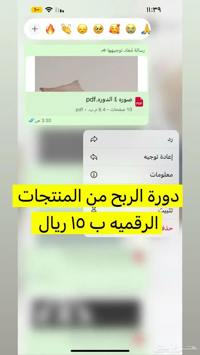 منتجات رقميه مربحه 16