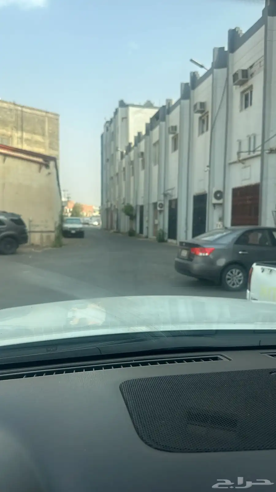 كلب هاسكي بيور ذكر index