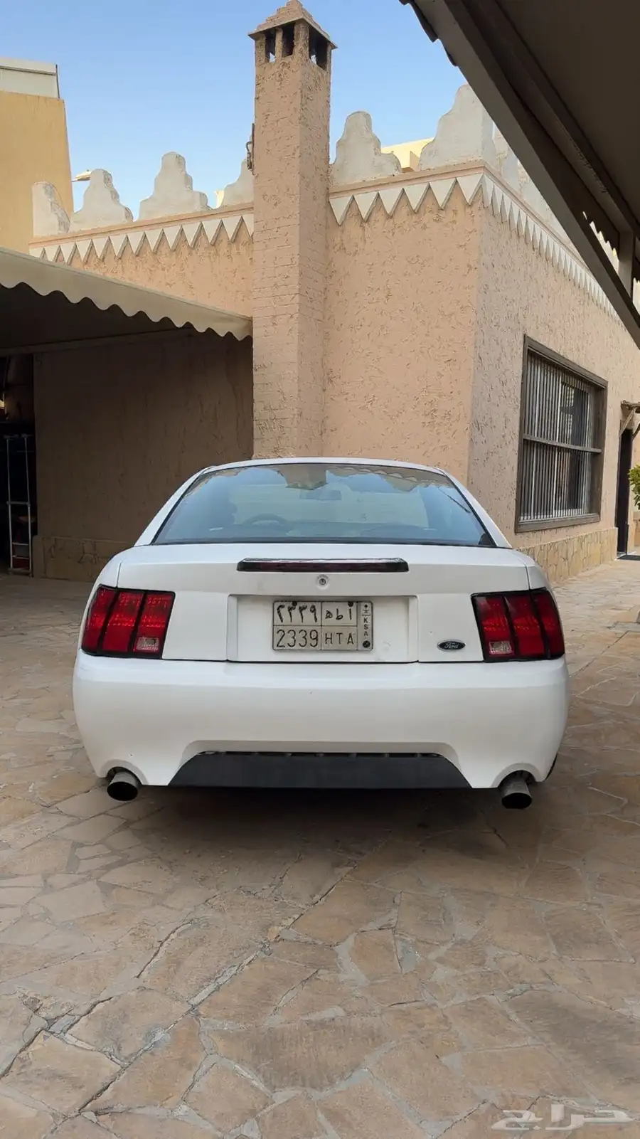 موستنق موديل 2000 كوبرا 4