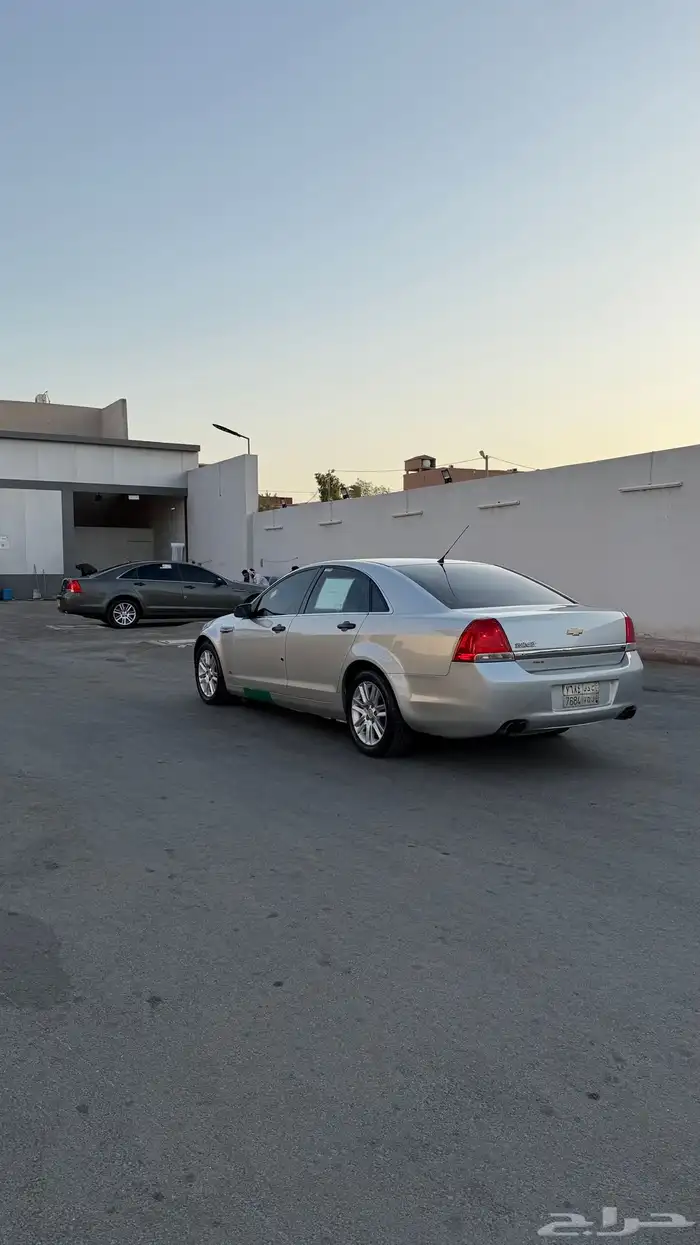كابرس 2013 4