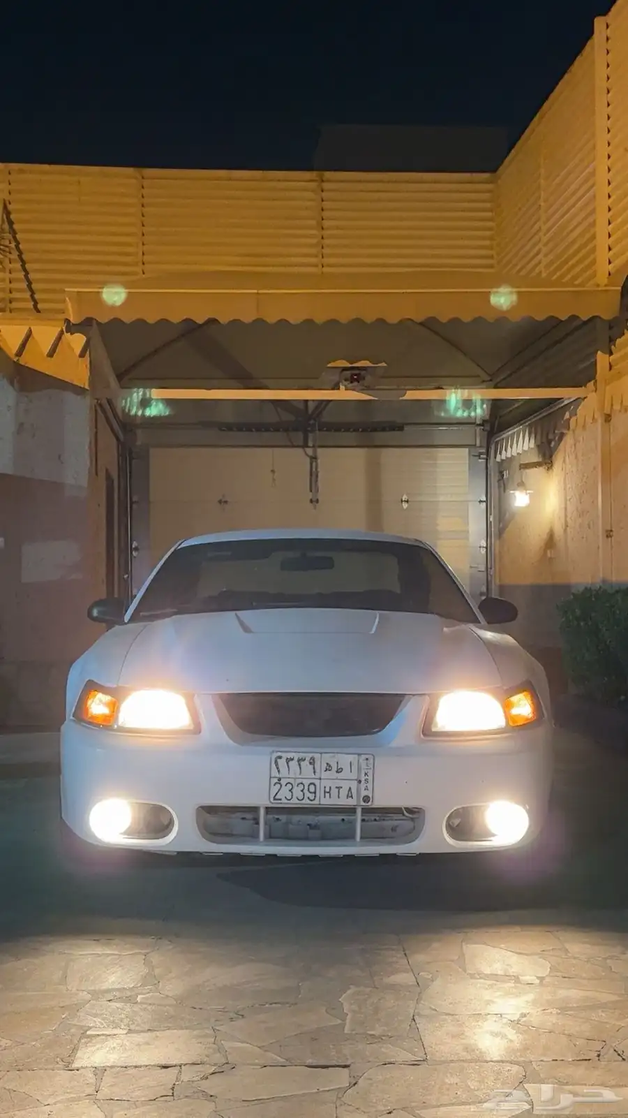 موستنق موديل 2000 كوبرا 0