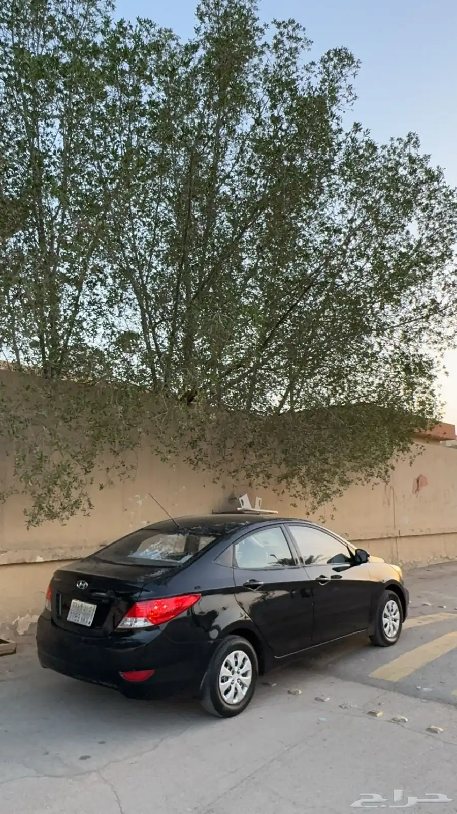 اكسنت 14 1