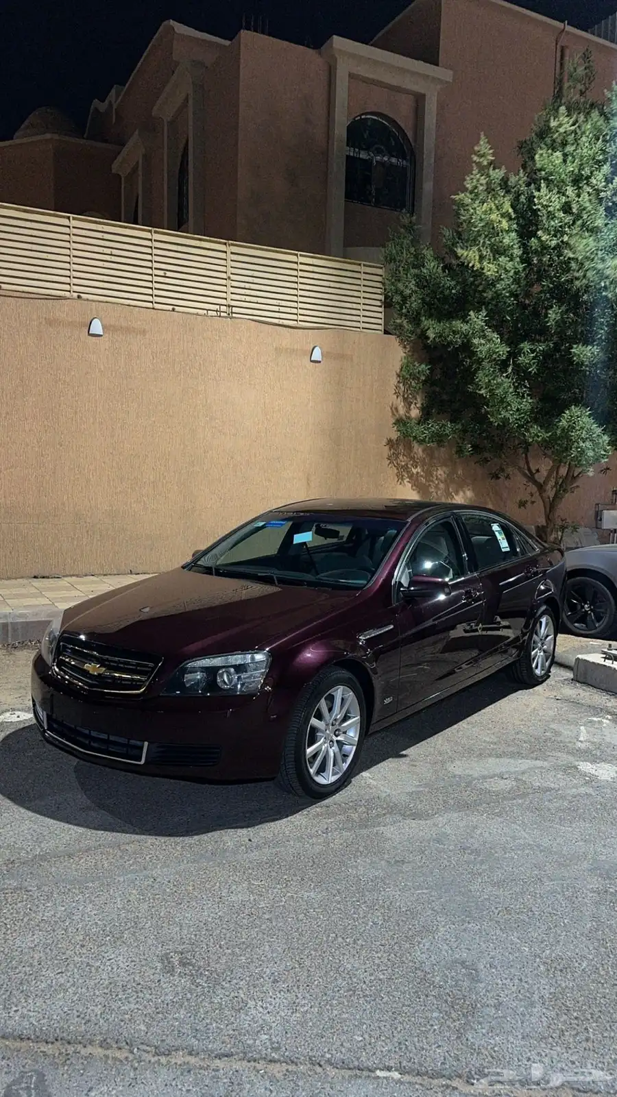 كابرس LS 15 عنابي 6