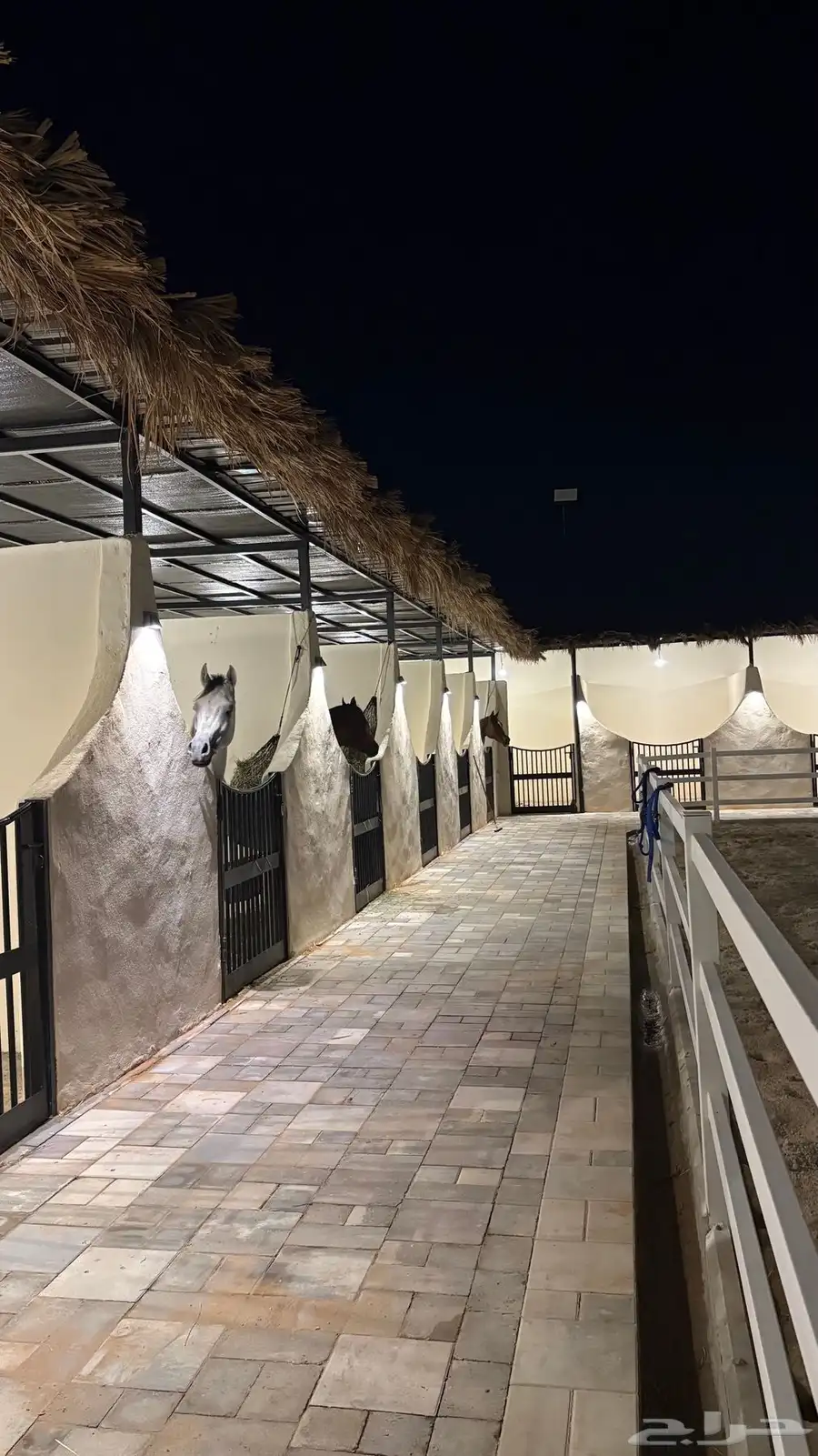 مربط جموح في العماريه اسعار الايواء تبداء من 1300 2