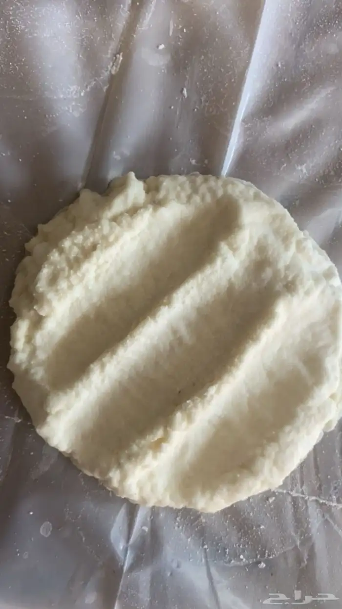 بقل بقر 0