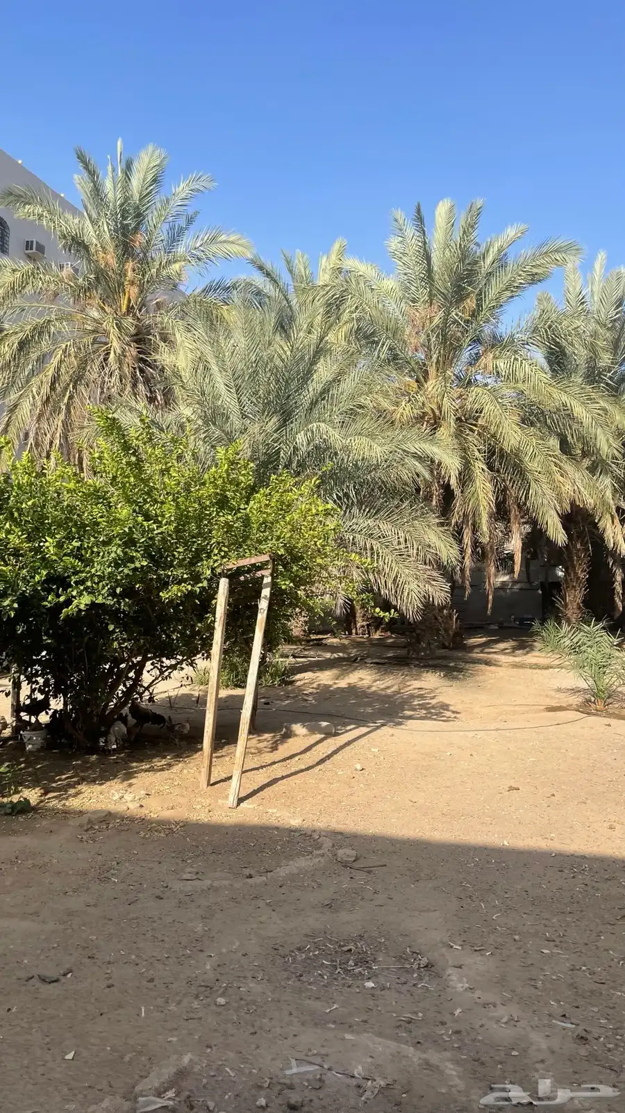 ارض بالجموم مساحة 539 واستراحة بملكان 2