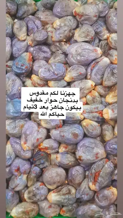 خاثر قشطه زبده لبنه سمن لبن مقدوس نوعين مفرزنات كل شي موجود 25