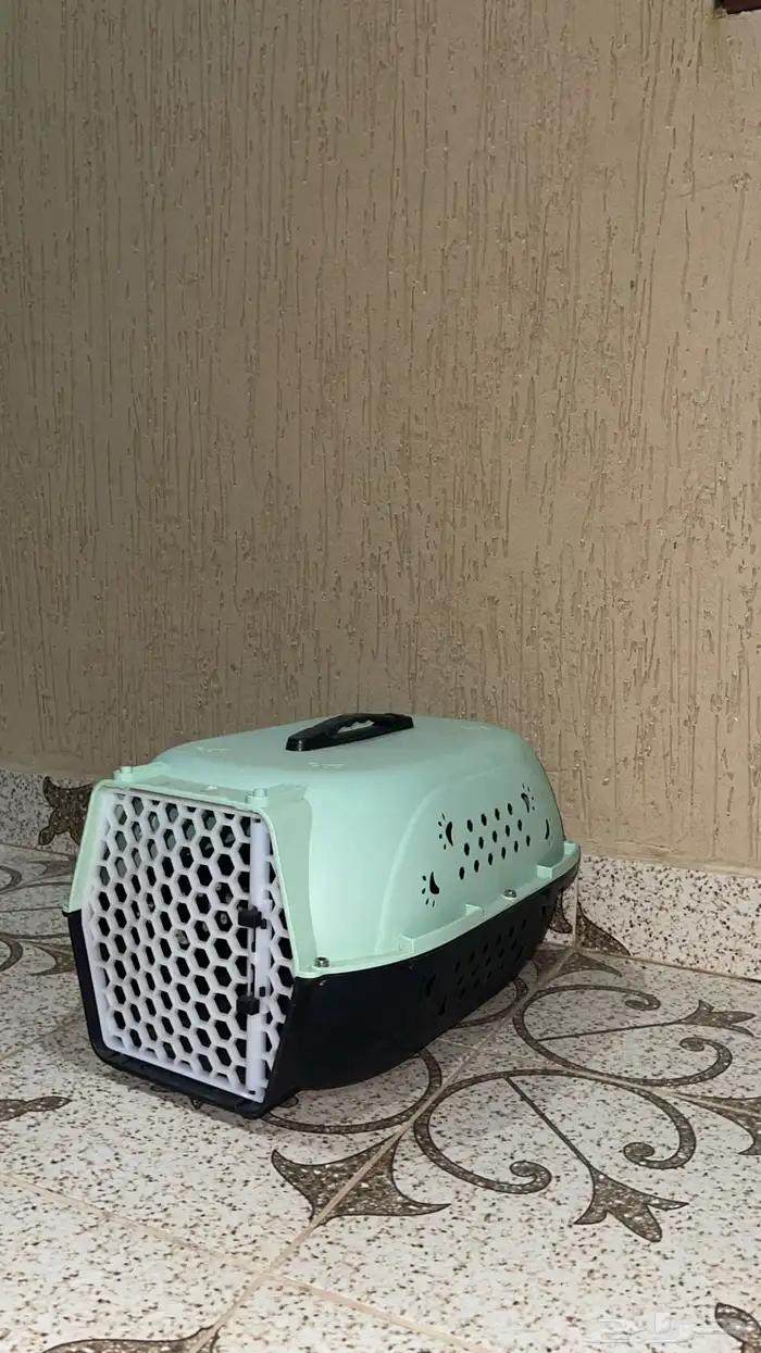 بوكس قطه نضيف 1