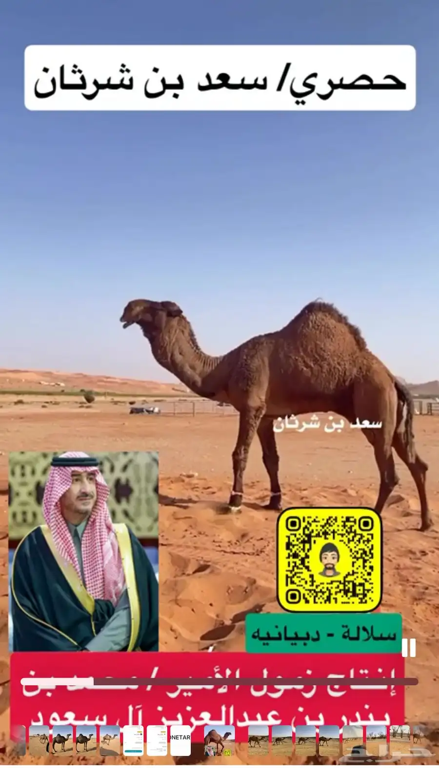 بكره صفرا 0