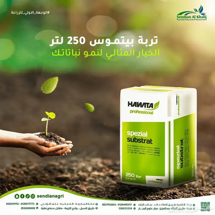 مصمم جرافيك 4