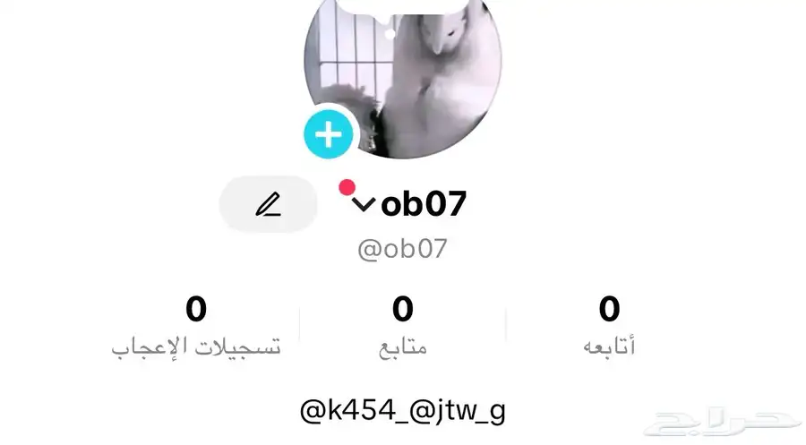 حسابات تيك توك رباعيه رخيصه 1