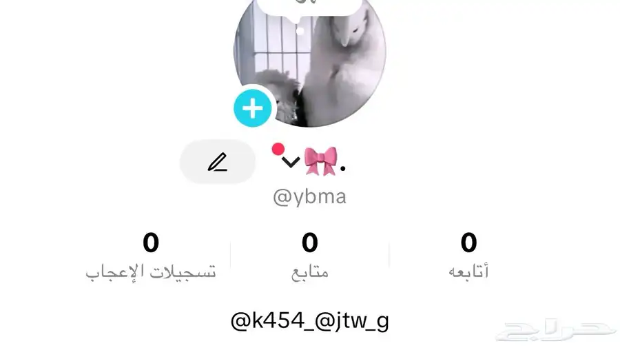 حسابات تيك توك رباعيه رخيصه 2