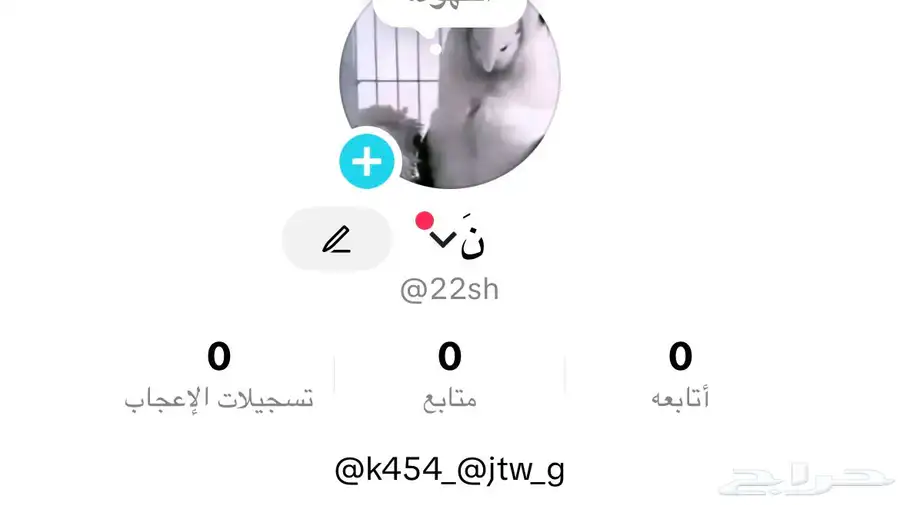 حسابات تيك توك رباعيه رخيصه 0