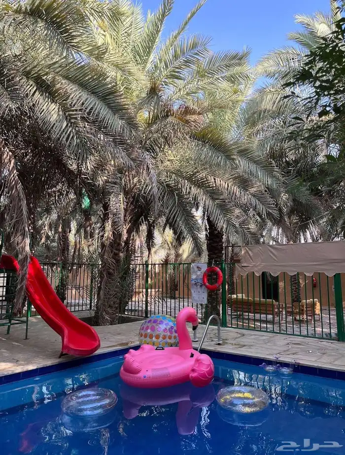 مربط رمال الخراره وبنفس الوقت منتجع وشاليهات رمال الخراره 7