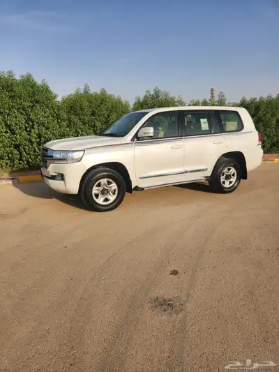 لاندكروزر ديزل 2019 0