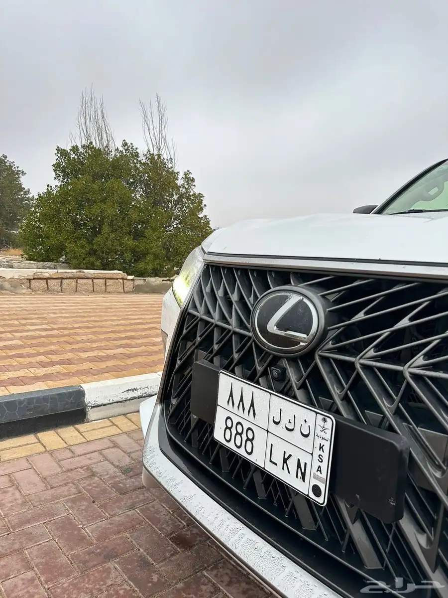لوحه مميزه 888 1