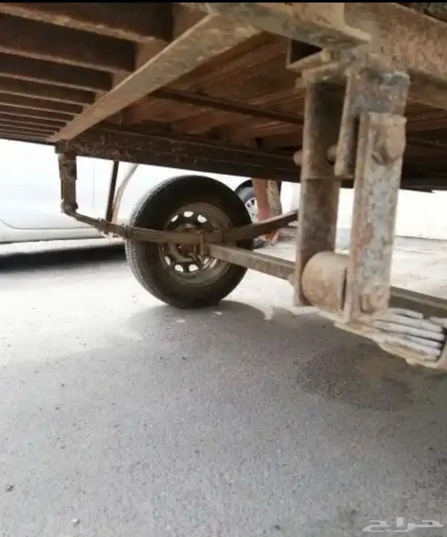 3 قلوص للبيع طويق غرب الرياض 4
