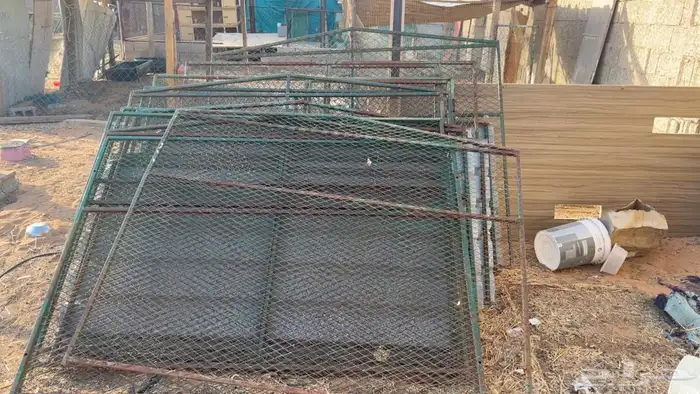 عشاش 0
