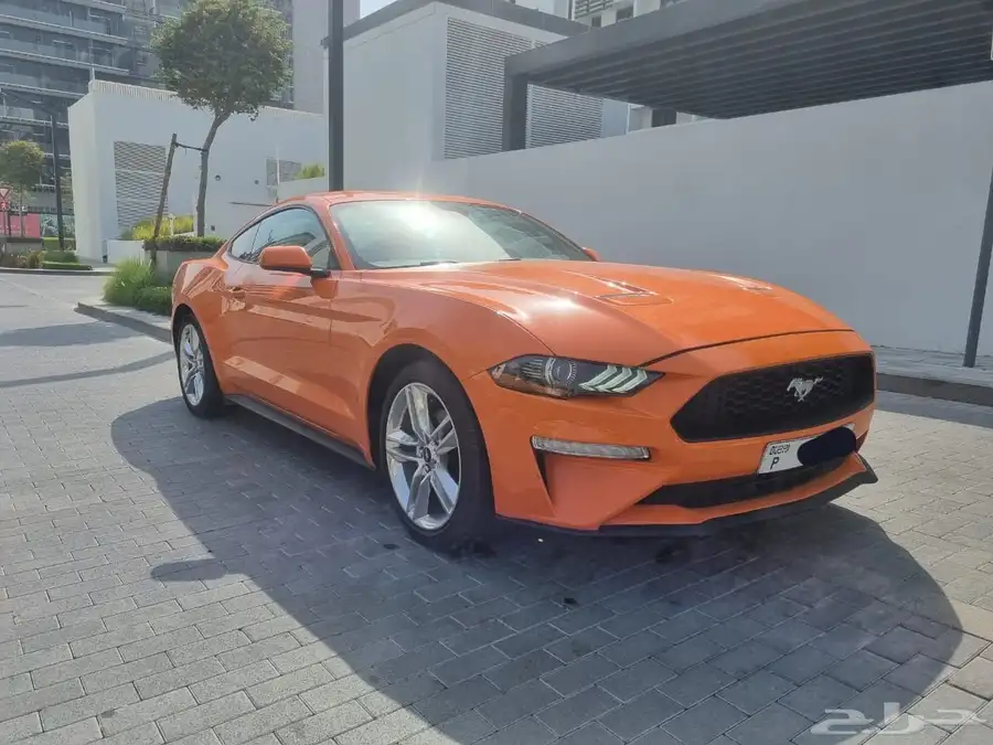 موستينج ايكوبوست 2021 ممشى قليل جدا ونظيفة 9