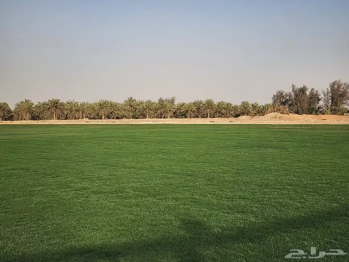 ثيل سي الفين درجه اولى 9