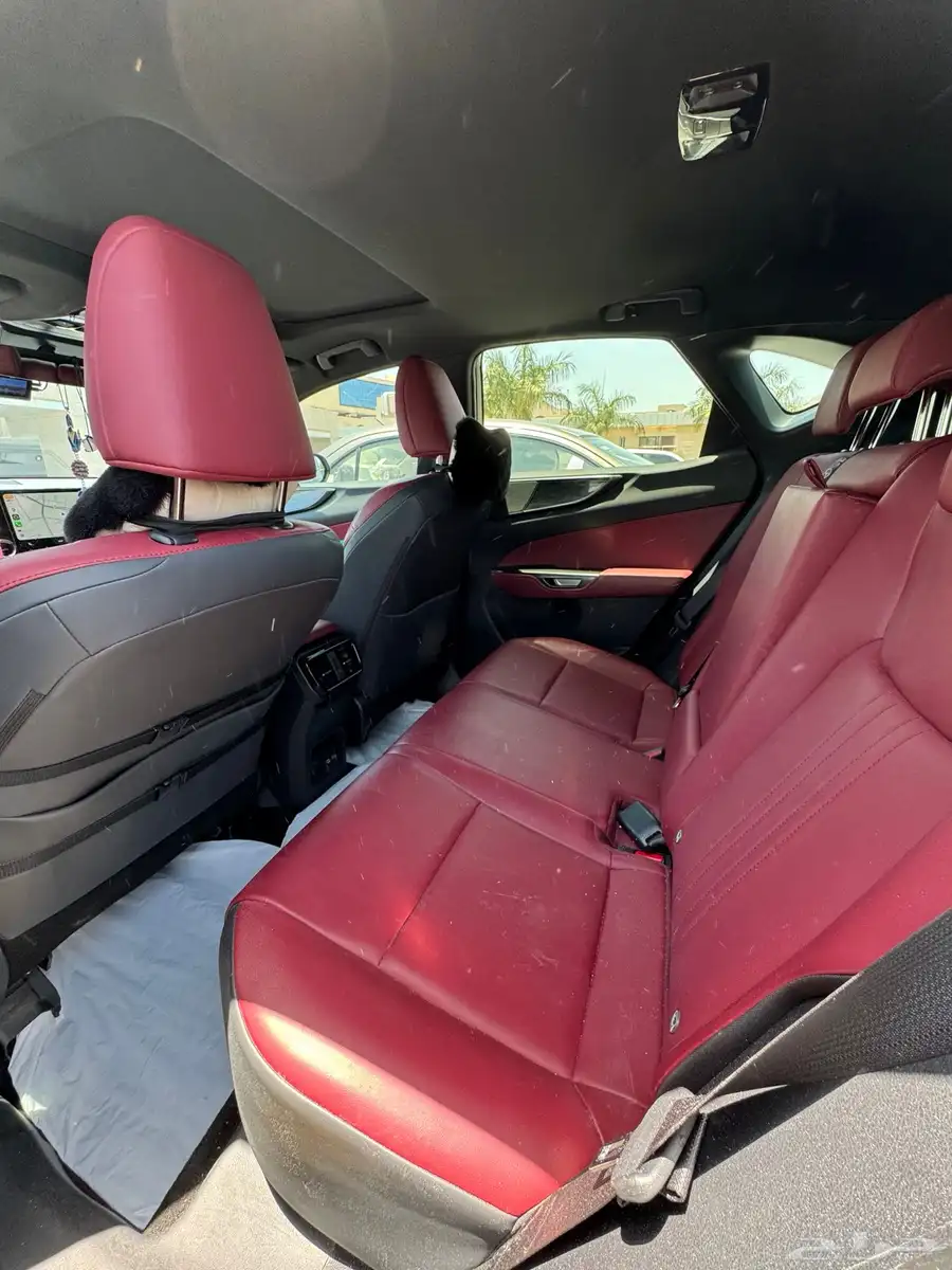 لكزس NX350 2024 للبيع 3