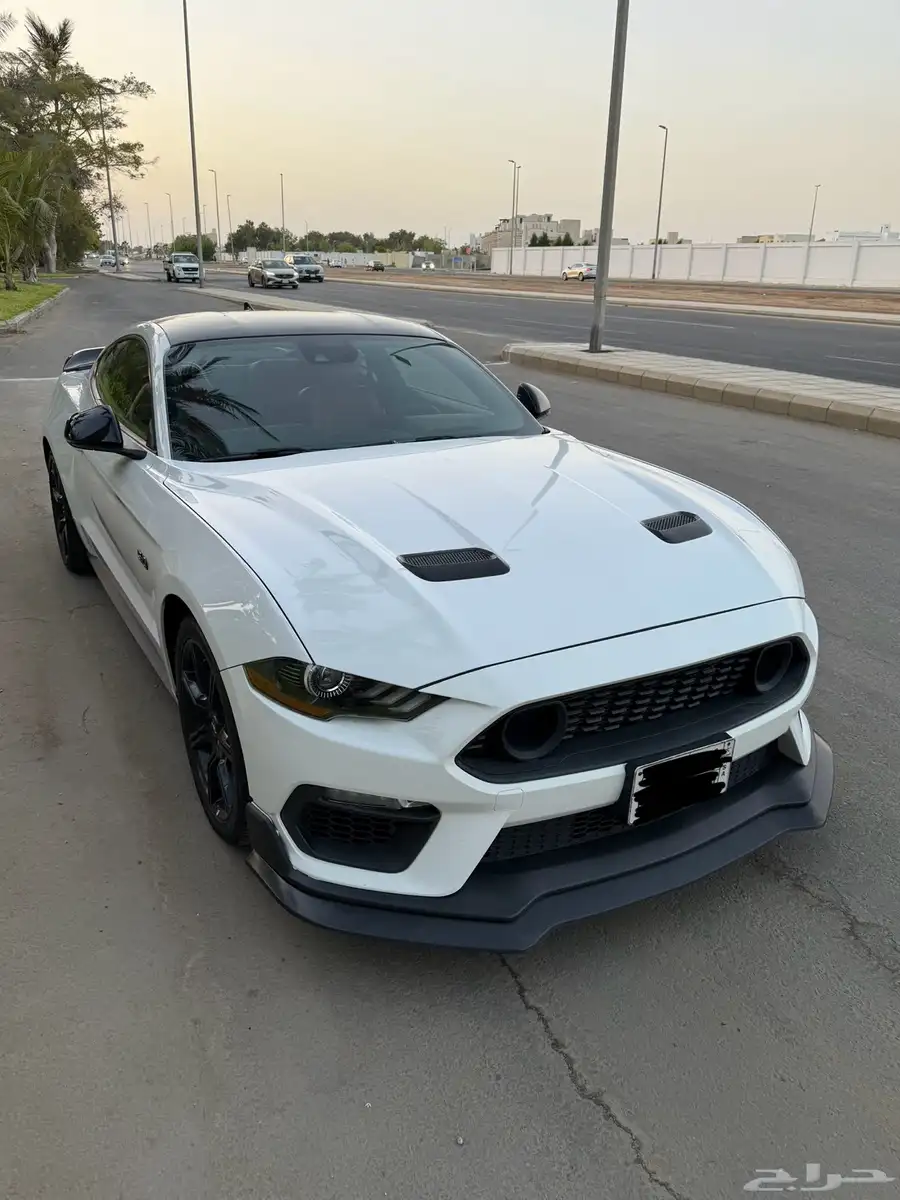موستنق GT 2020 اصدار 55 بيرفورمنس وارد التوكيلات 2