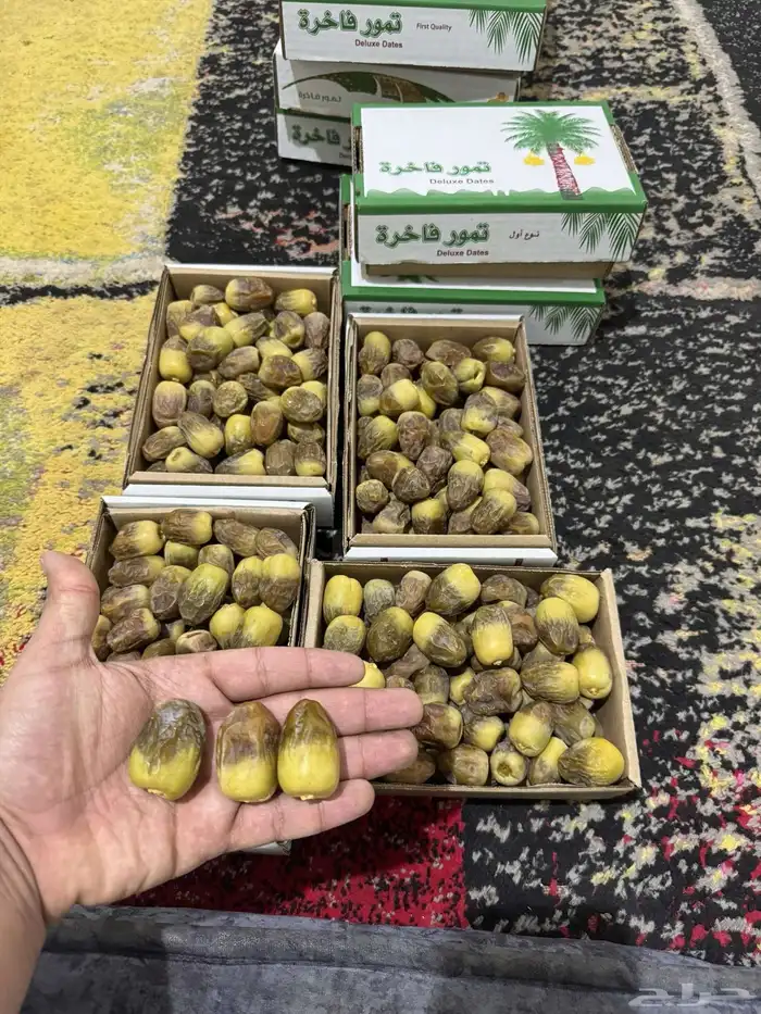 تمر شيشي فاخر حبه كبير 2