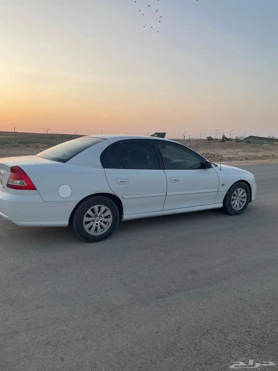 لومينا 2006 1