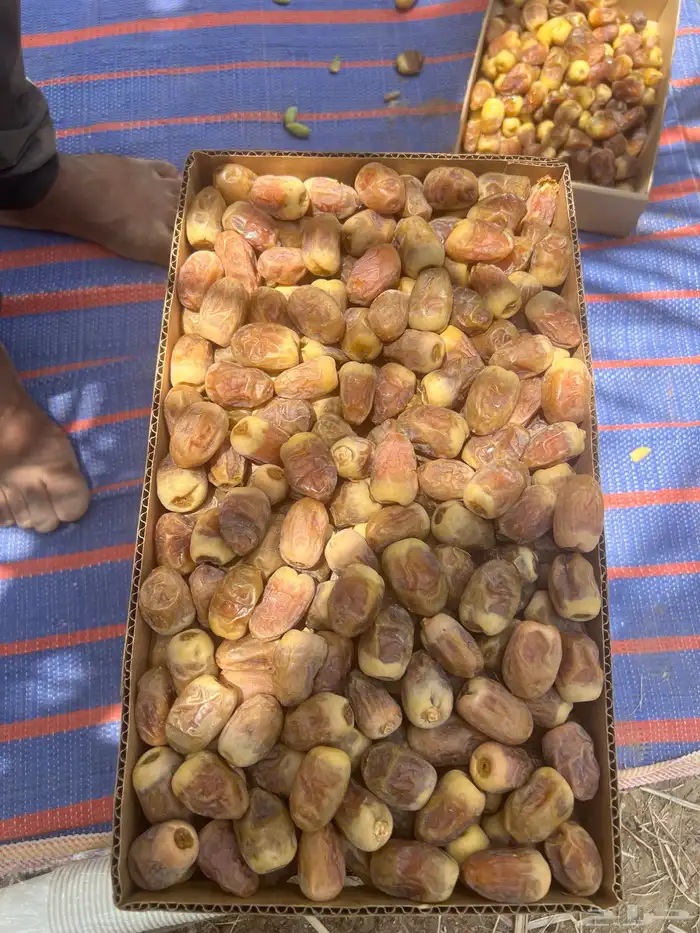 شيشي درجه أولى كراتين 6 كيلو على الطلب تاخذه للثلاجه 6