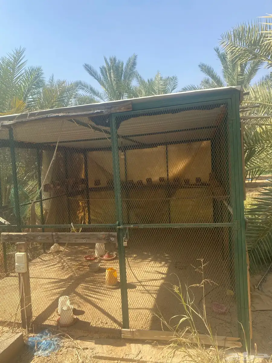 شبك طيور 4 في 3 0