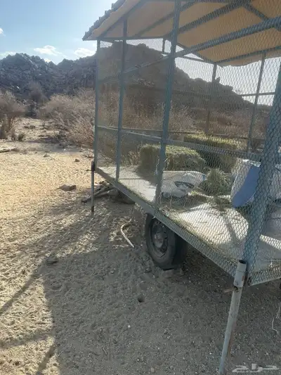 قلص 1