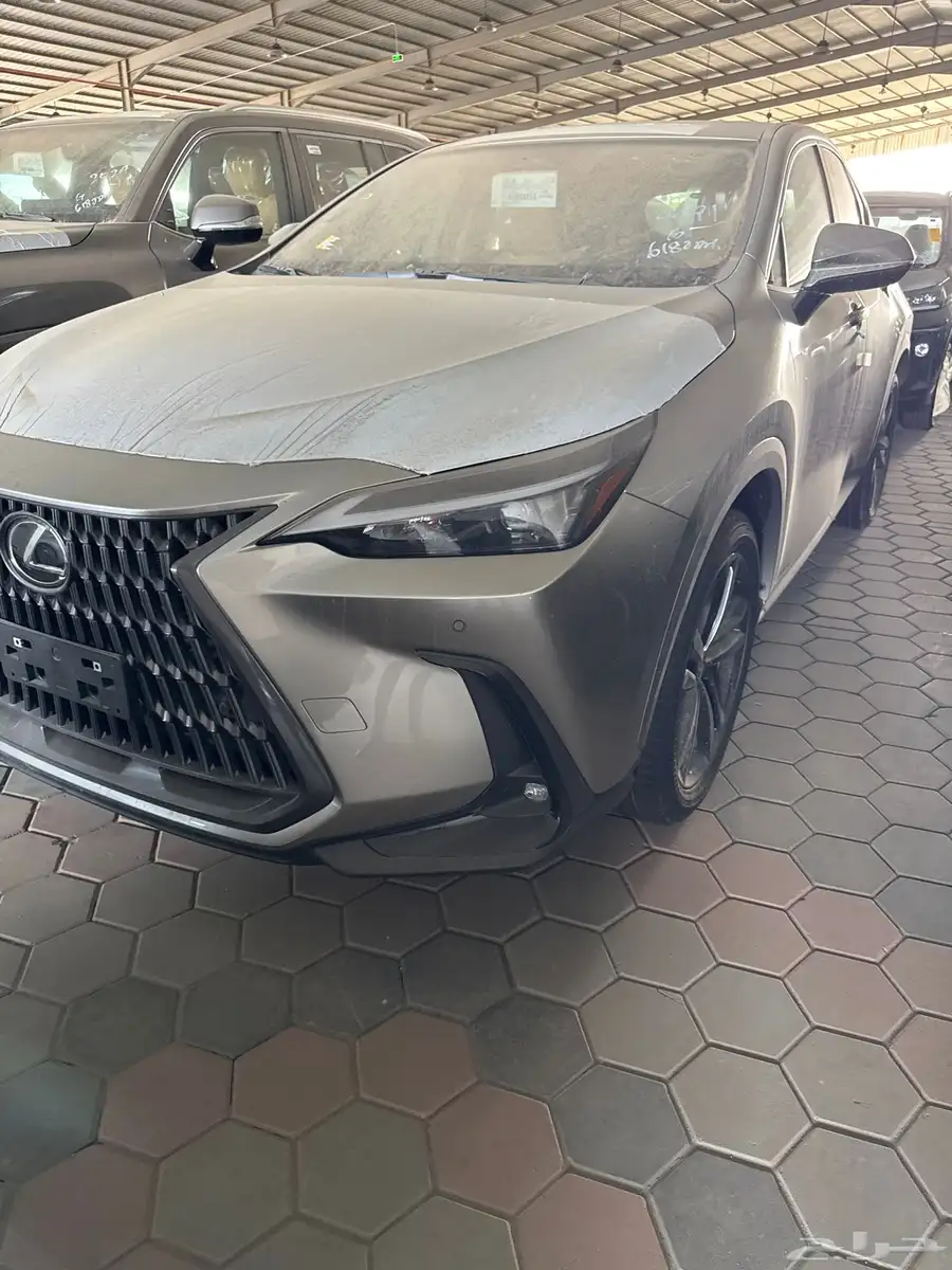 لكزس NX350AA موديل 2025 0