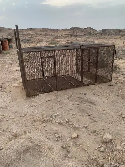 شبك مصيده محباله 0