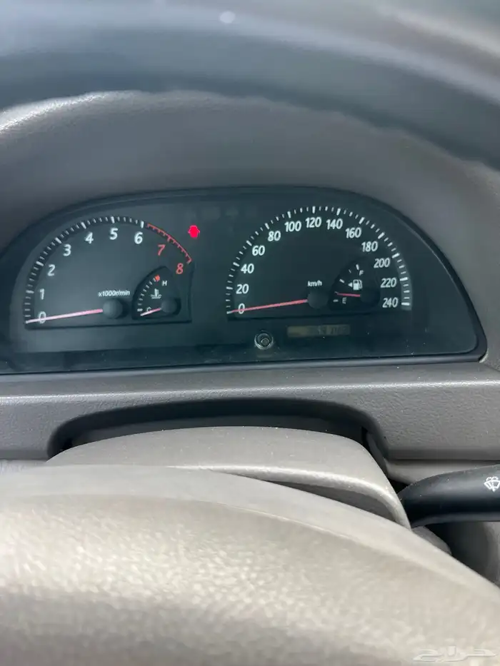 بيشة 8