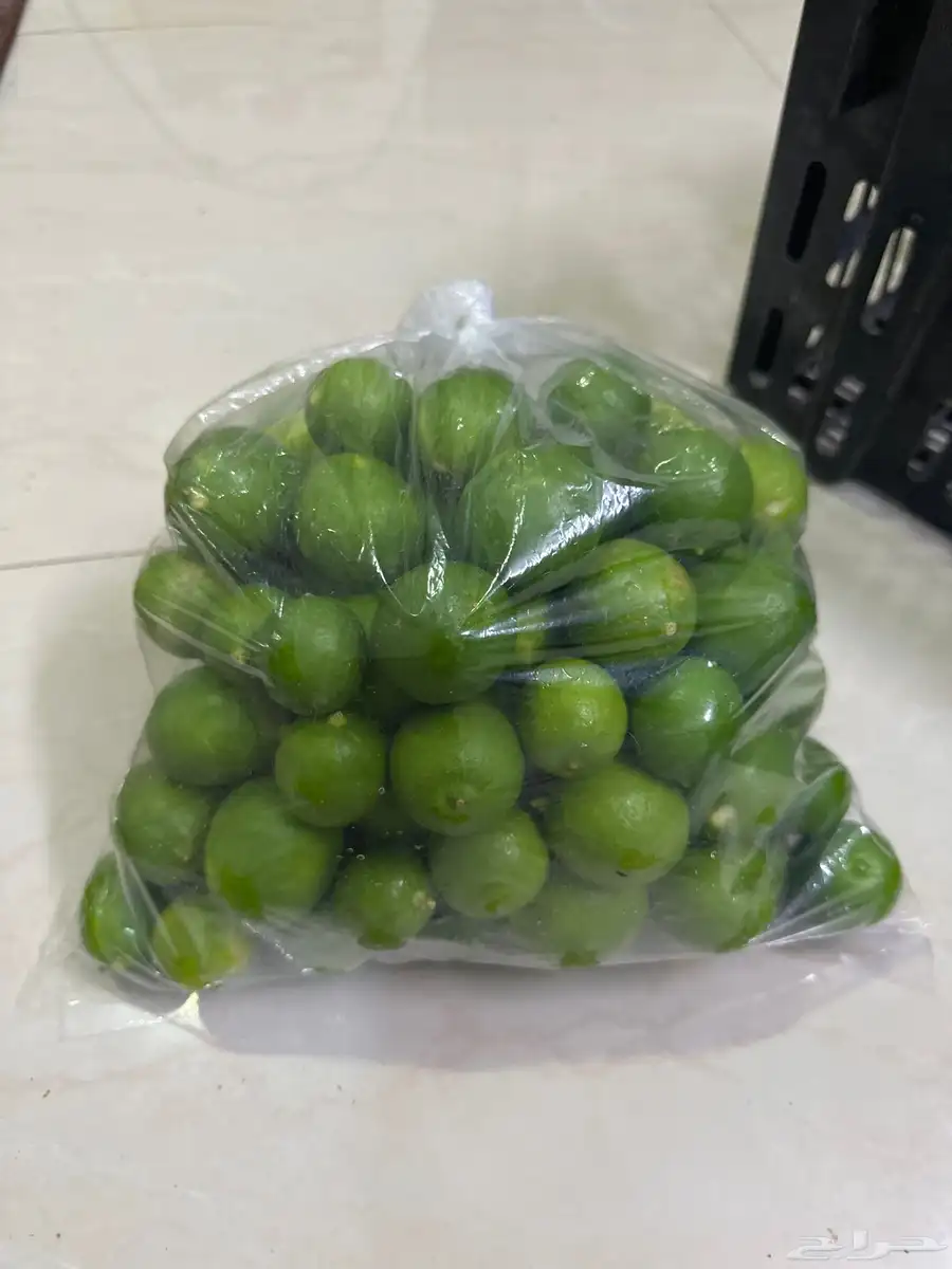 ليمون ابوزهيرة طازج قطف اليوم 4