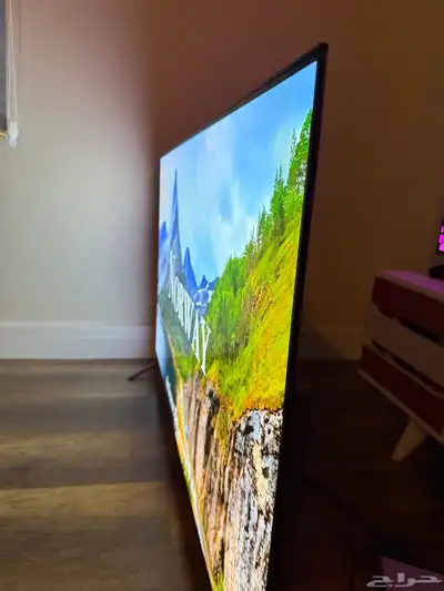 شاشه اوليد OLED TV LG 2