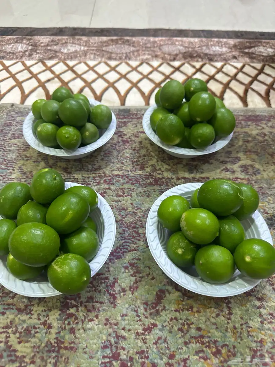ليمون ابوزهيرة طازج قطف اليوم 0