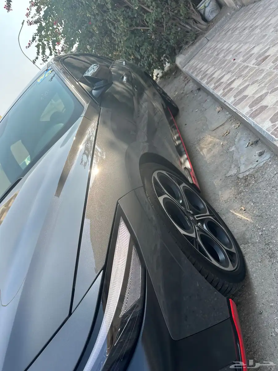 Elantra N 2.0T 20