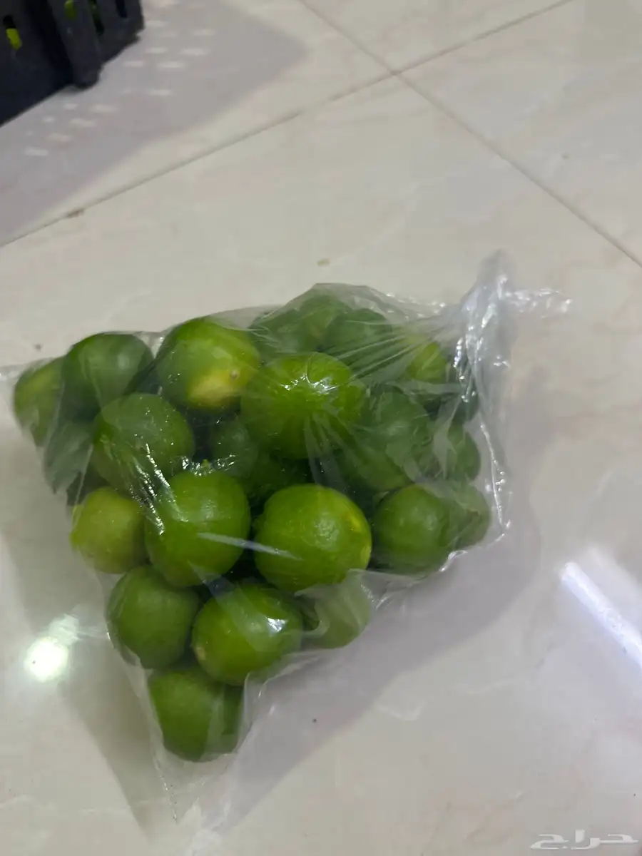 ليمون ابوزهيرة طازج قطف اليوم 3