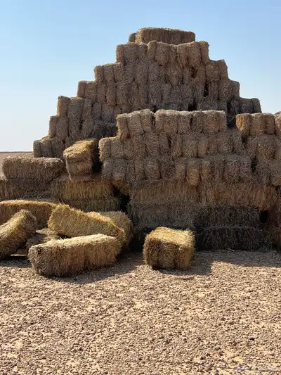 تبن للبيع 2