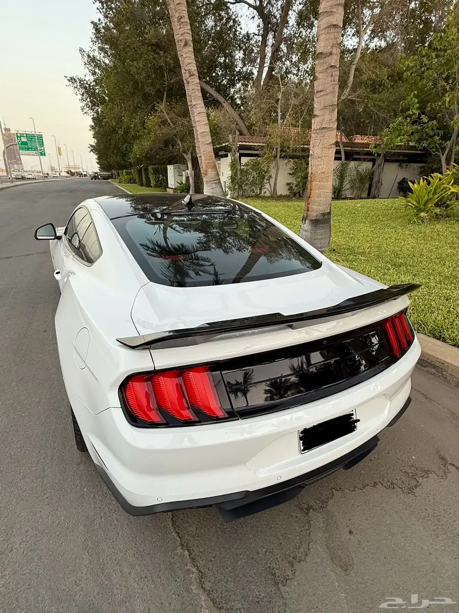 موستنق GT 2020 اصدار 55 بيرفورمنس وارد التوكيلات 5