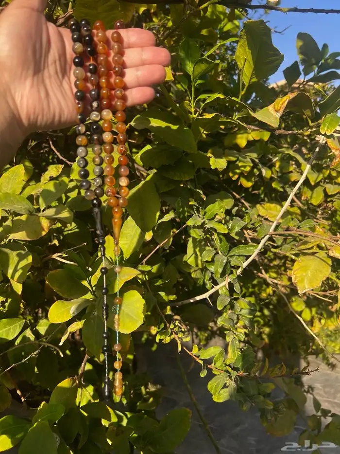 سبحة ترسة ظهر السلحفاة 2