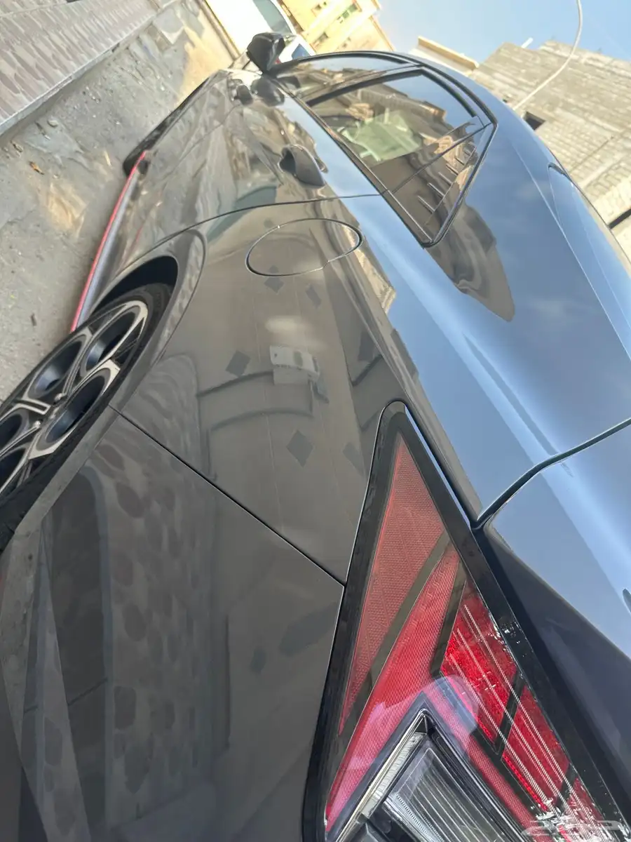 Elantra N 2.0T 18