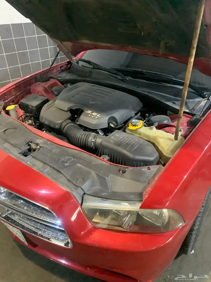 الرياض 19