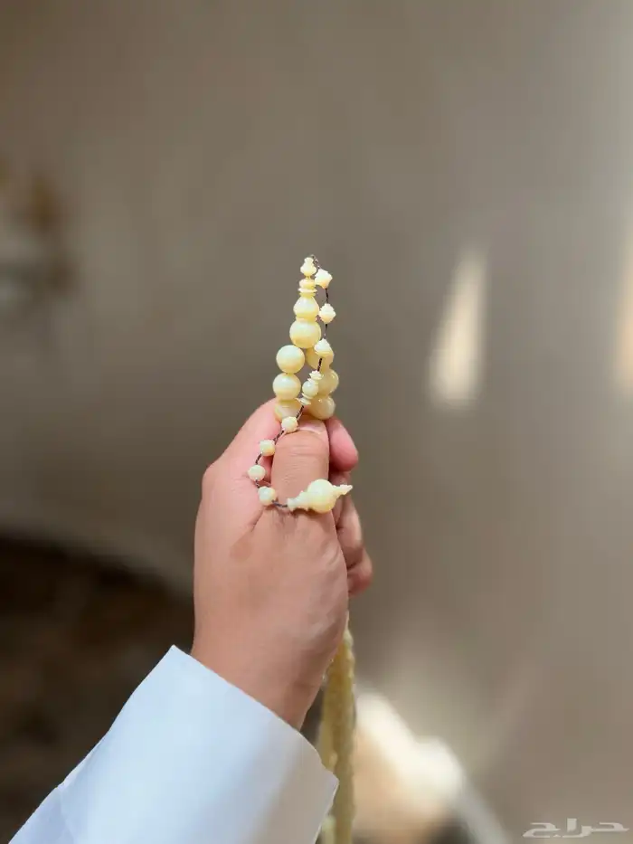 دومنة مكرك (تم البيع) 2