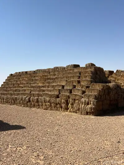 تبن للبيع 0