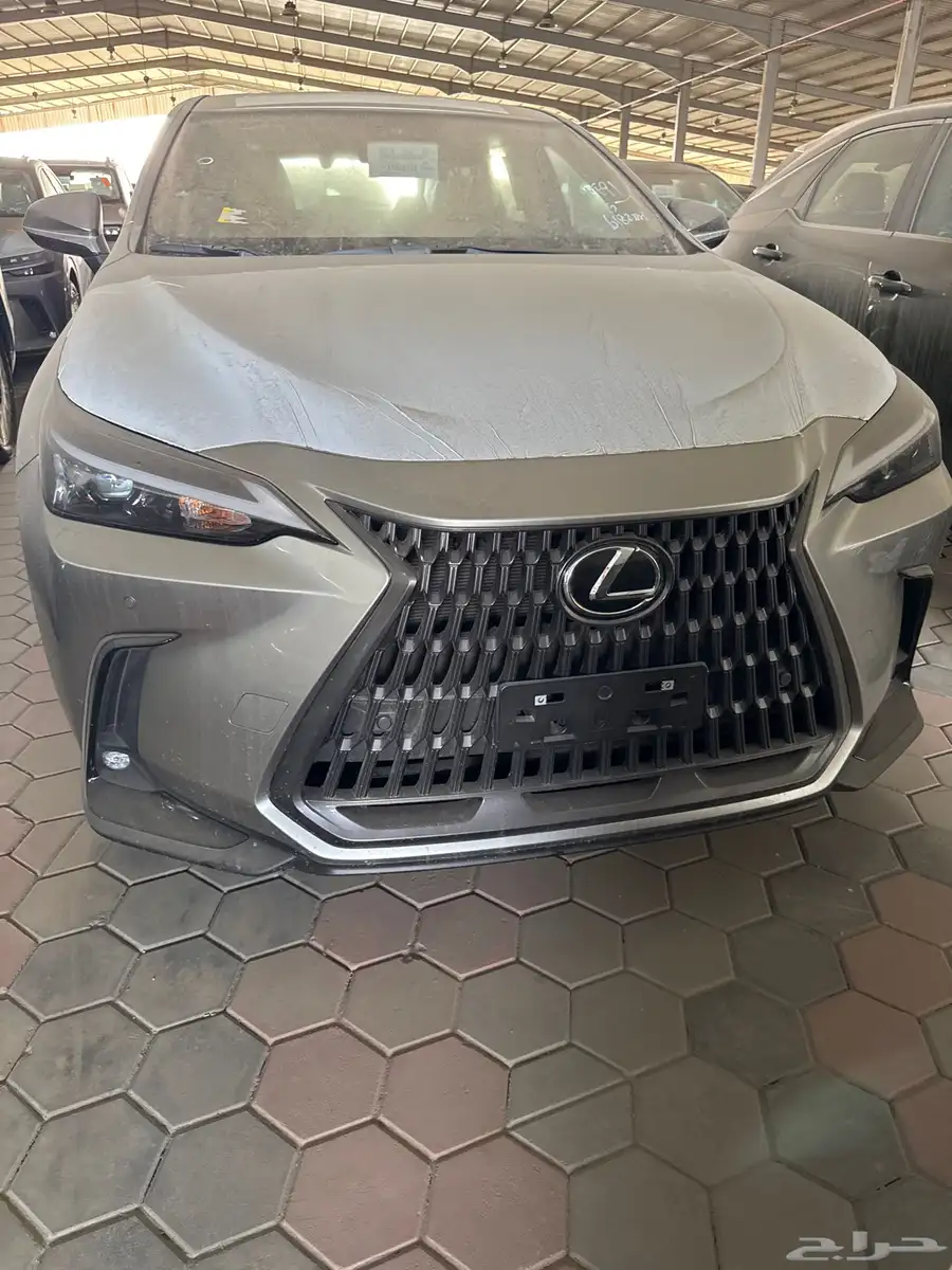 لكزس NX350AA موديل 2025 2