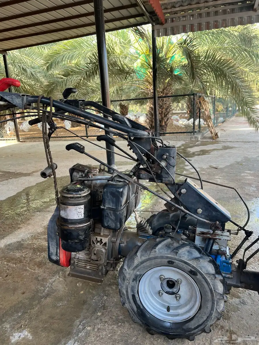 حصاده برسيم ايطالية 0