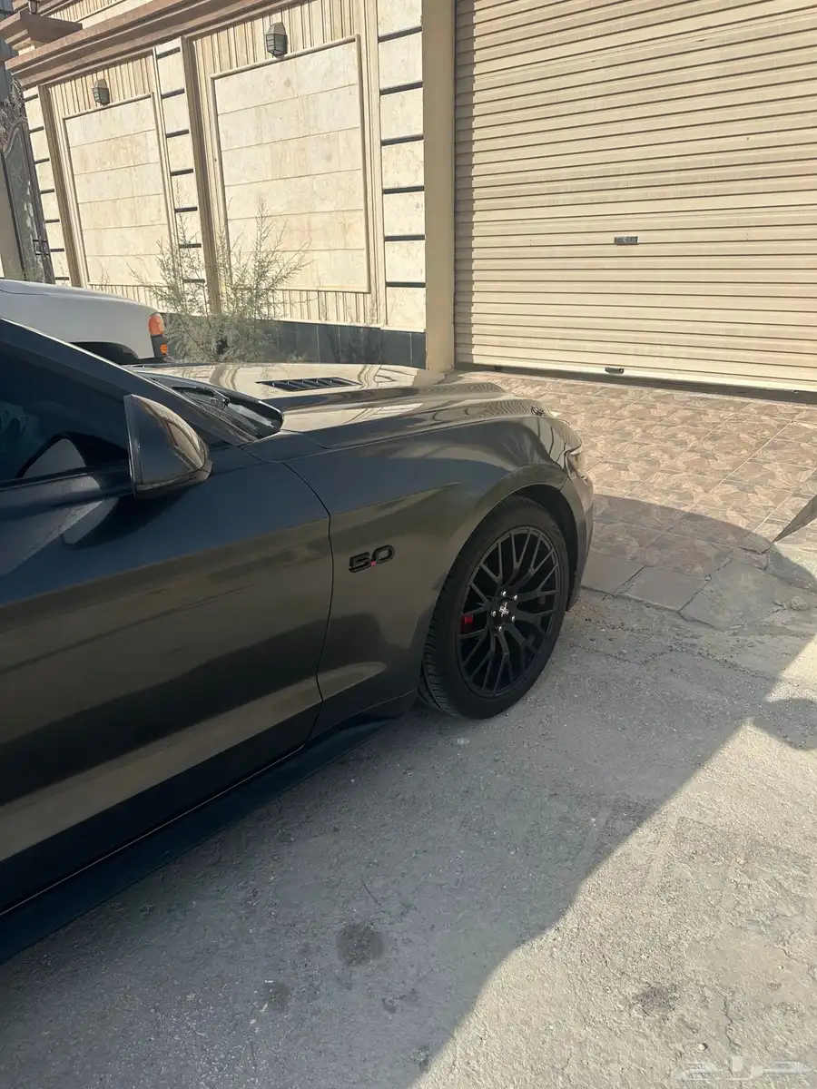 فورد موستنج 2016 GT 9