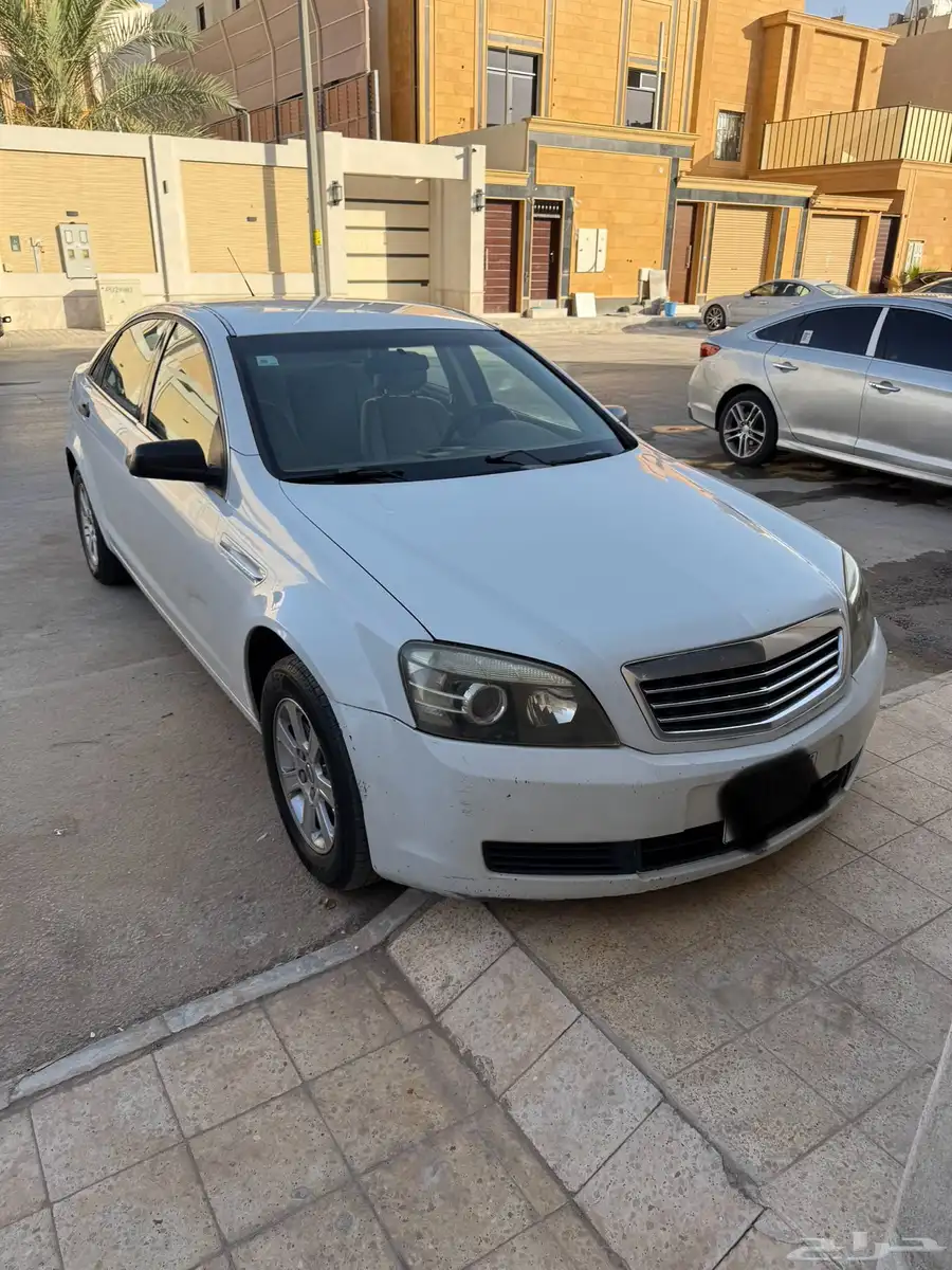 كابرس 2008 11